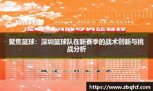 聚焦篮球：深圳篮球队在新赛季的战术创新与挑战分析